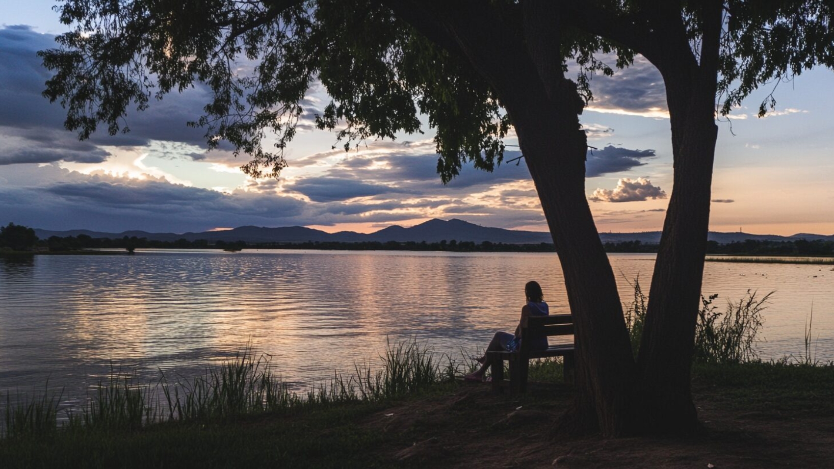 Sola la atardecer