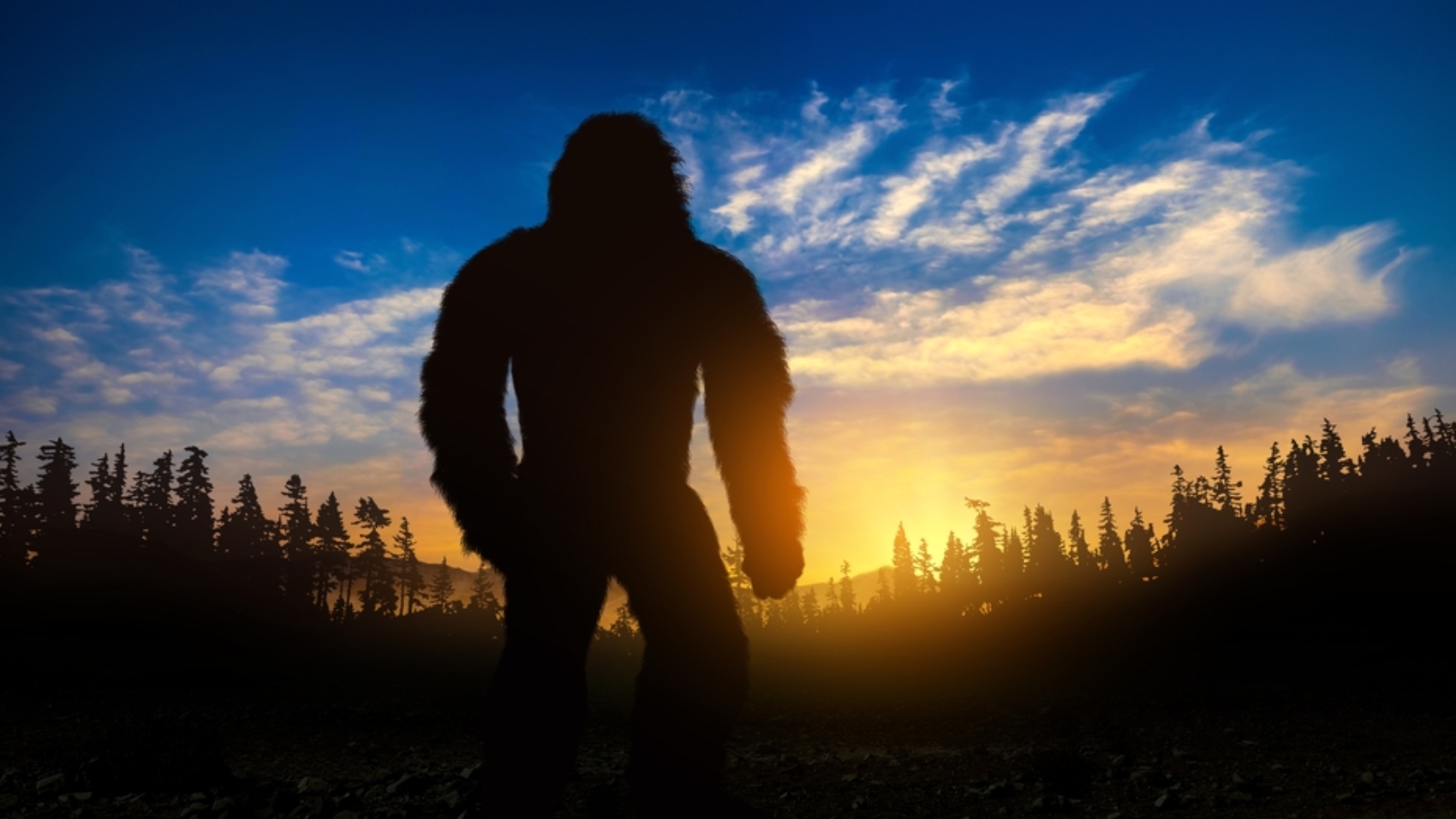 Bigfoot,Really,Exists.,Bigfoot,Silhouette,In,The,Woods.