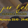 Parashá Pinjás – Celo por Yehováh<br>Números 25:10 – 29:24