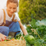 Young,Girl,Taking,Care,Of,Her,Vegetable,Garden,-,Concept