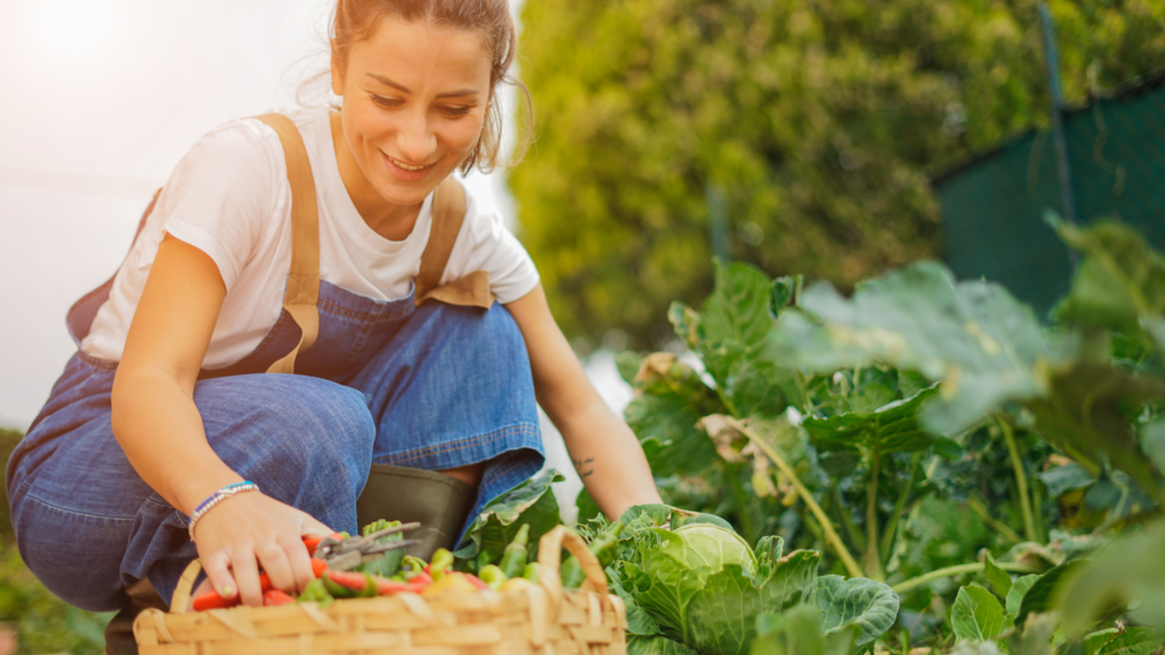 Young,Girl,Taking,Care,Of,Her,Vegetable,Garden,-,Concept