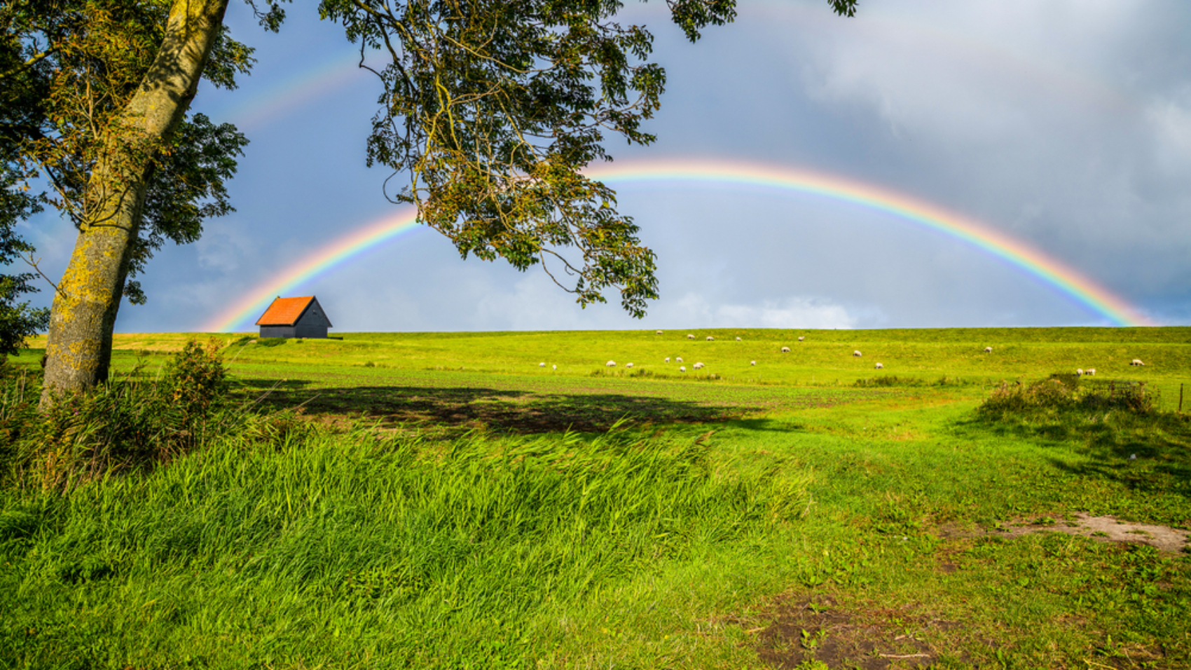 Rainbow,In,Sky,Clouds,Over,Rural,House,Lawn,Summer,Field